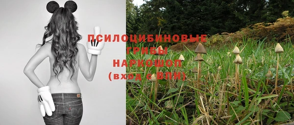 круглые Липки