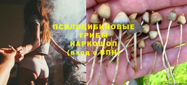 МДПВ Лихославль