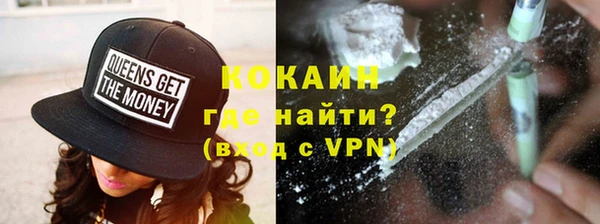 прущие грибы Магас