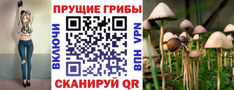 Псилоцибиновые грибы ЛСД  как найти закладки  blacksprut сайт  Тимашёвск 