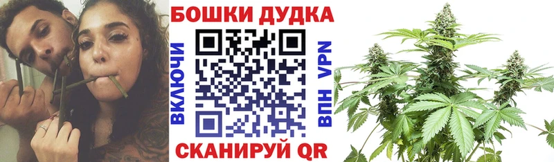 Конопля MAZAR Тимашёвск